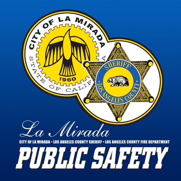 Public Safety Team Logo