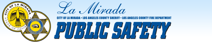 BANNER-PUBLICSAFETY