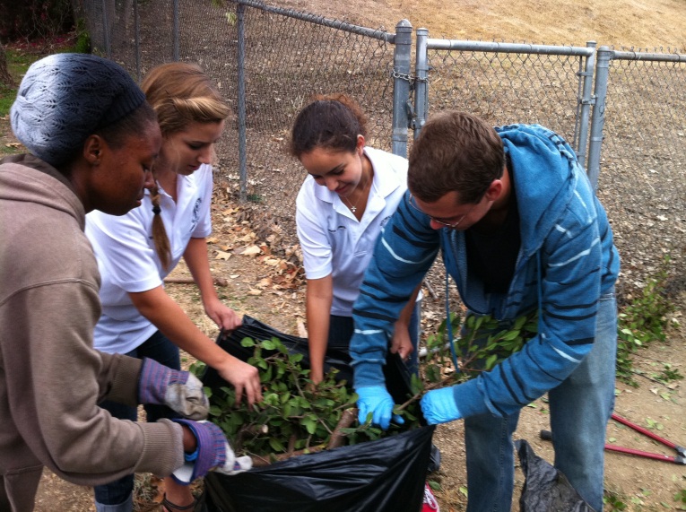 Volunteers in Action